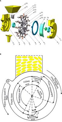 Structural optimization method of rice precision direct seed-metering device based on multi-index orthogonal experimental